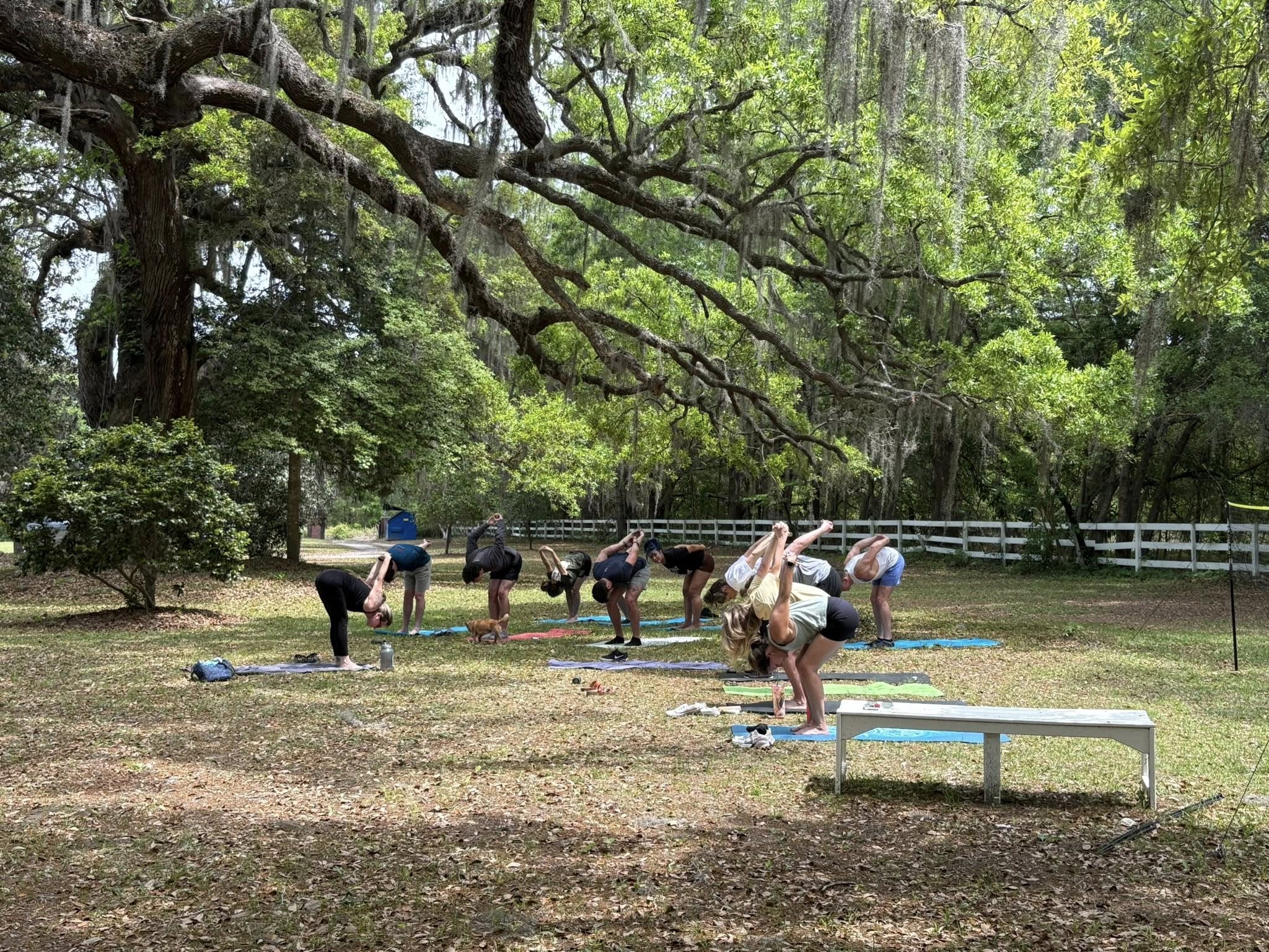 Yoga under live oaks with Spanish moss at The Palm