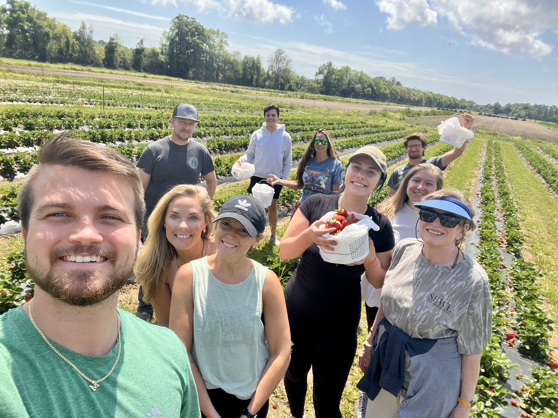 Strawberry picking outing