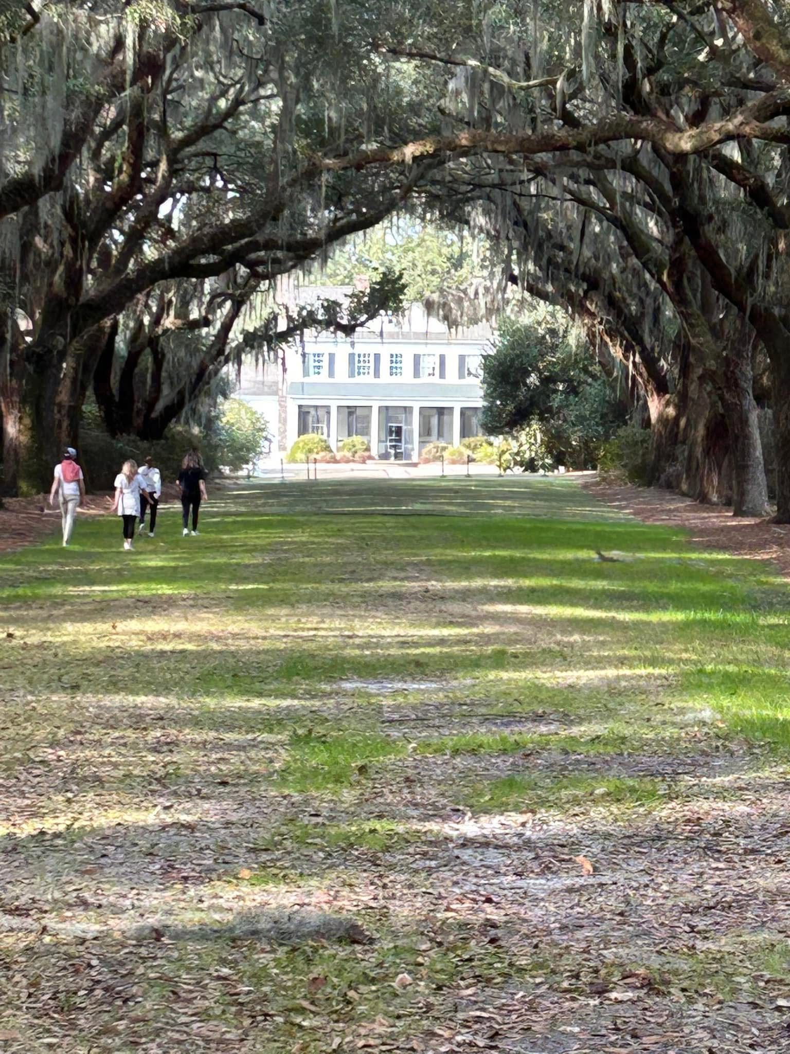 Walking through live oak trees at The Palm property