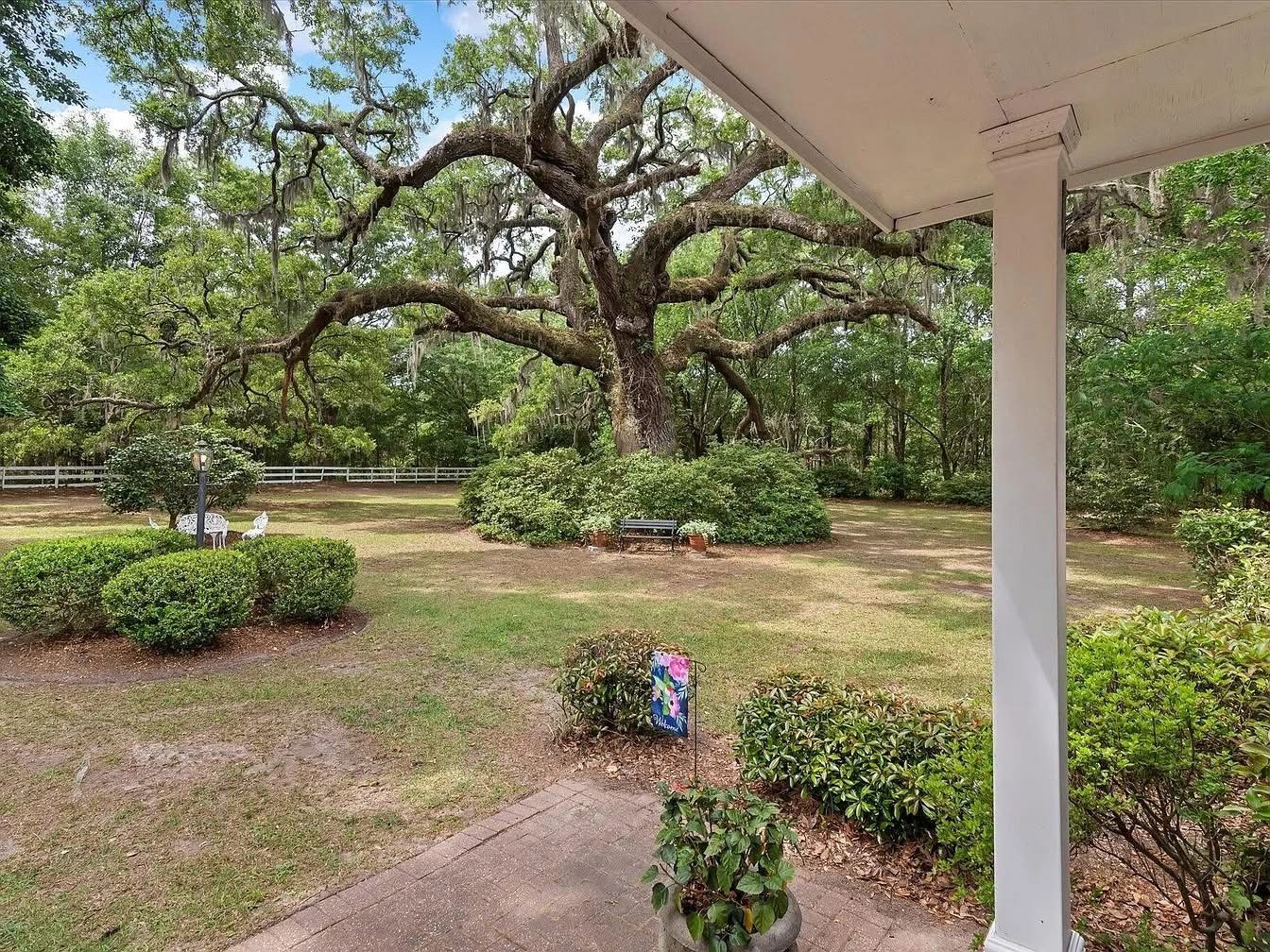 View from the porch at The Palm